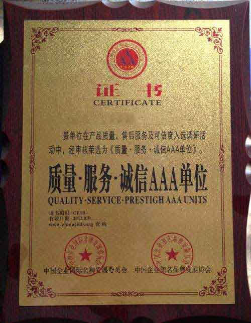 龙文荣誉证书